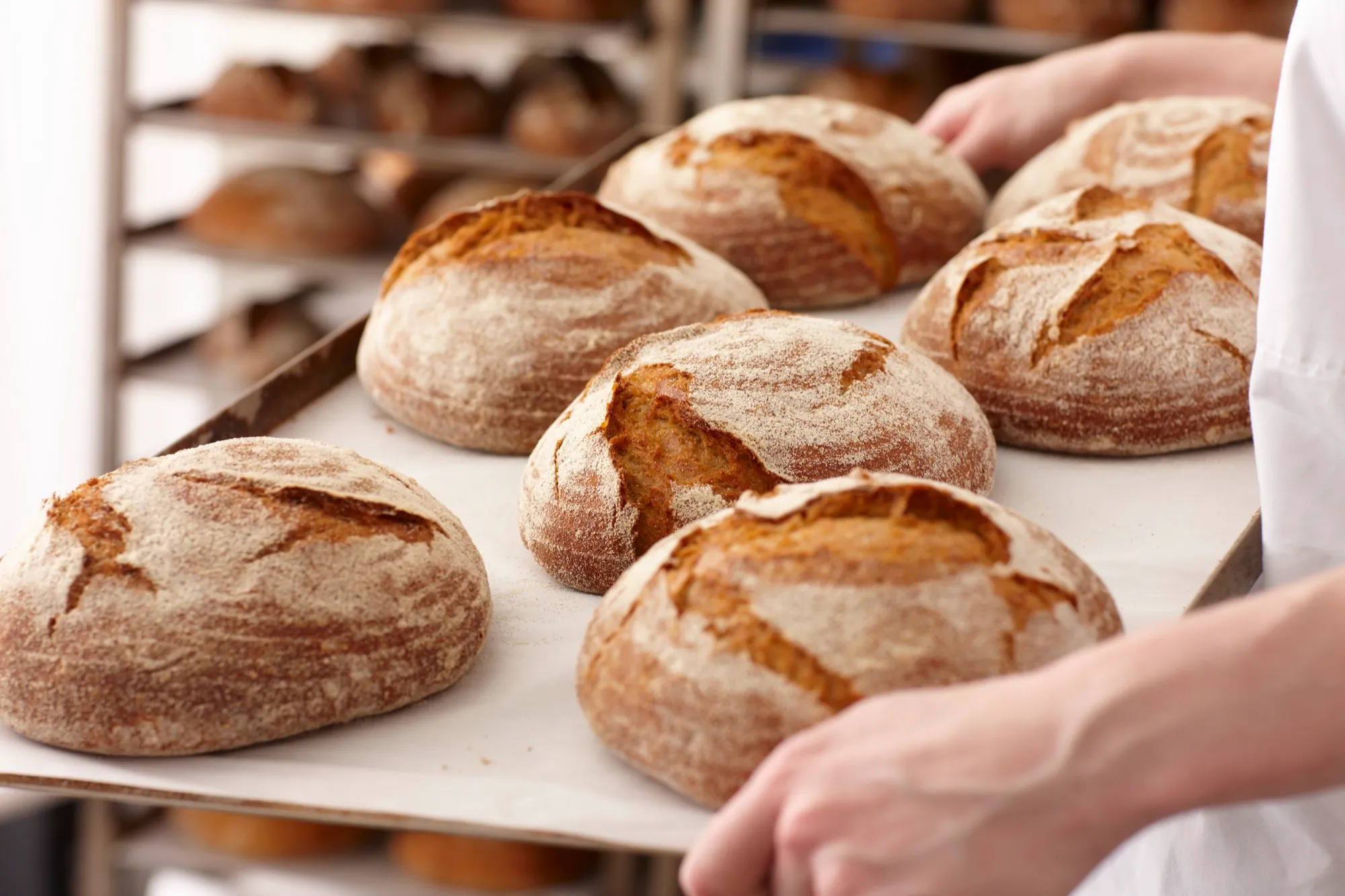 Freshly baked bread